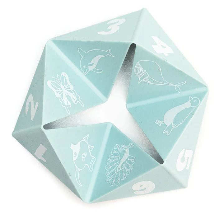 Bella Tunno Beginner Spinner