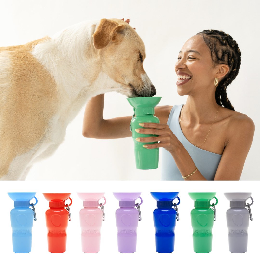 Dog Travel Water Bottle Classic 22oz