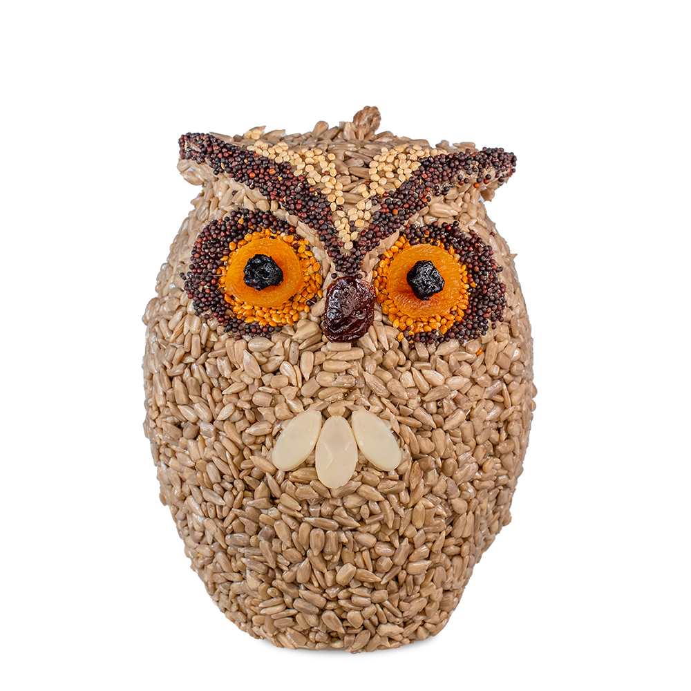 Mr Bird Whoo-Lio Owl bird feeder
