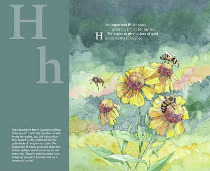 T is for Tar Heel: A North Carolina Alphabet Picture Book