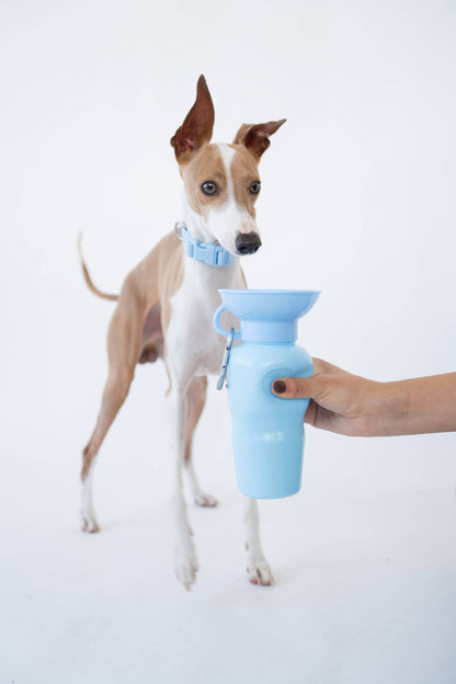 Dog Travel Water Bottle Classic 22oz