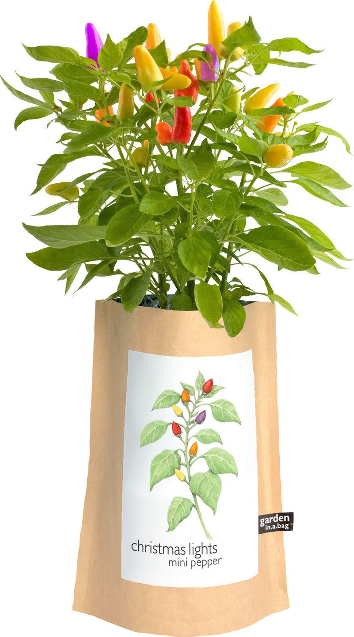 Potting Shed Creations