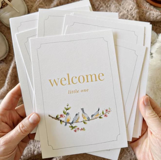 Emily Lex Studio Baby Milestone Cards