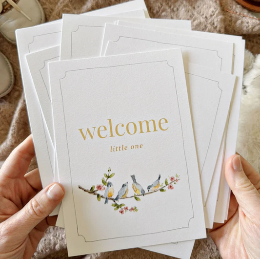 Emily Lex Studio Baby Milestone Cards