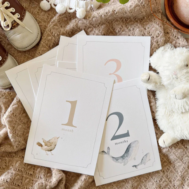 Emily Lex Studio Baby Milestone Cards