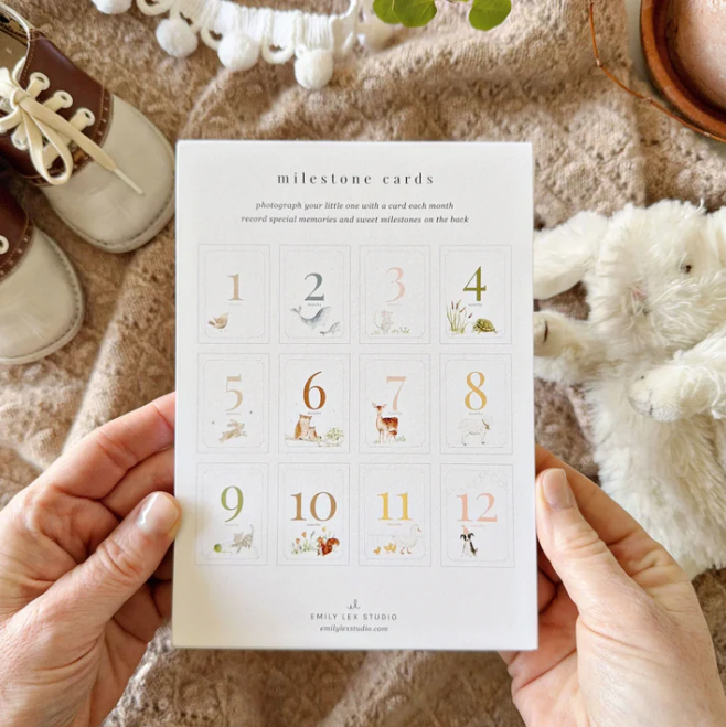 Emily Lex Studio Baby Milestone Cards