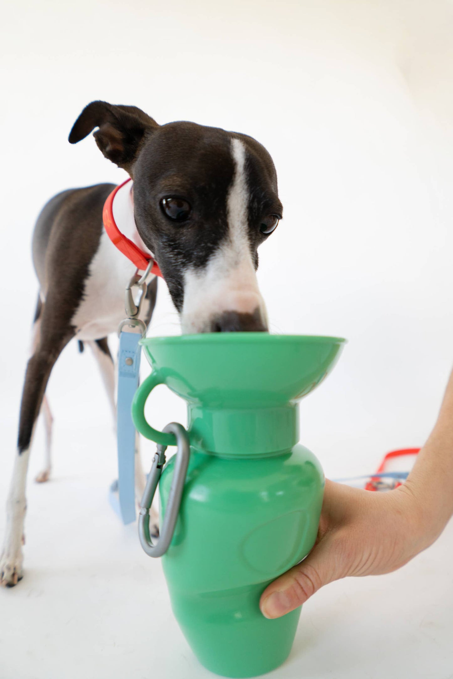 Dog Travel Water Bottle Classic 22oz