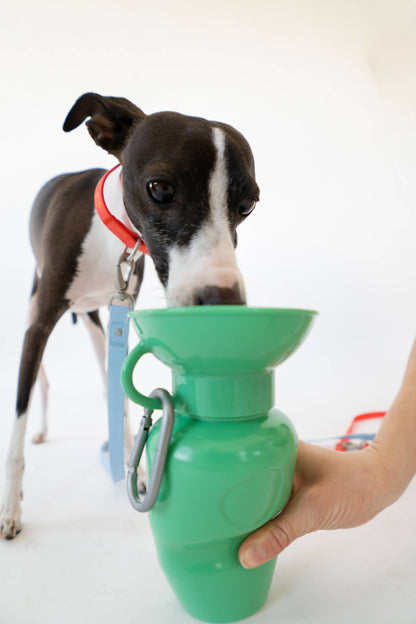 Dog Travel Water Bottle Classic 22oz