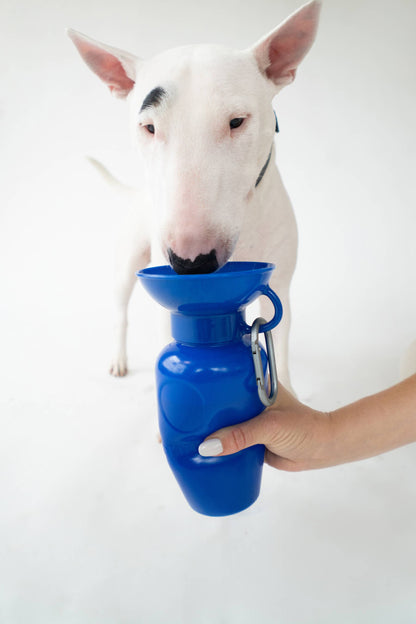 Dog Travel Water Bottle Classic 22oz