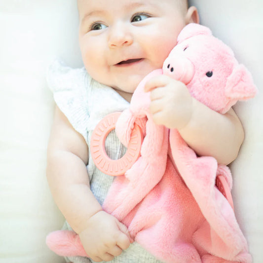 Bella Tunno Teether Buddy