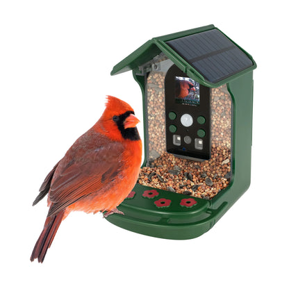 Explore Scientific Smart Bird Feeder