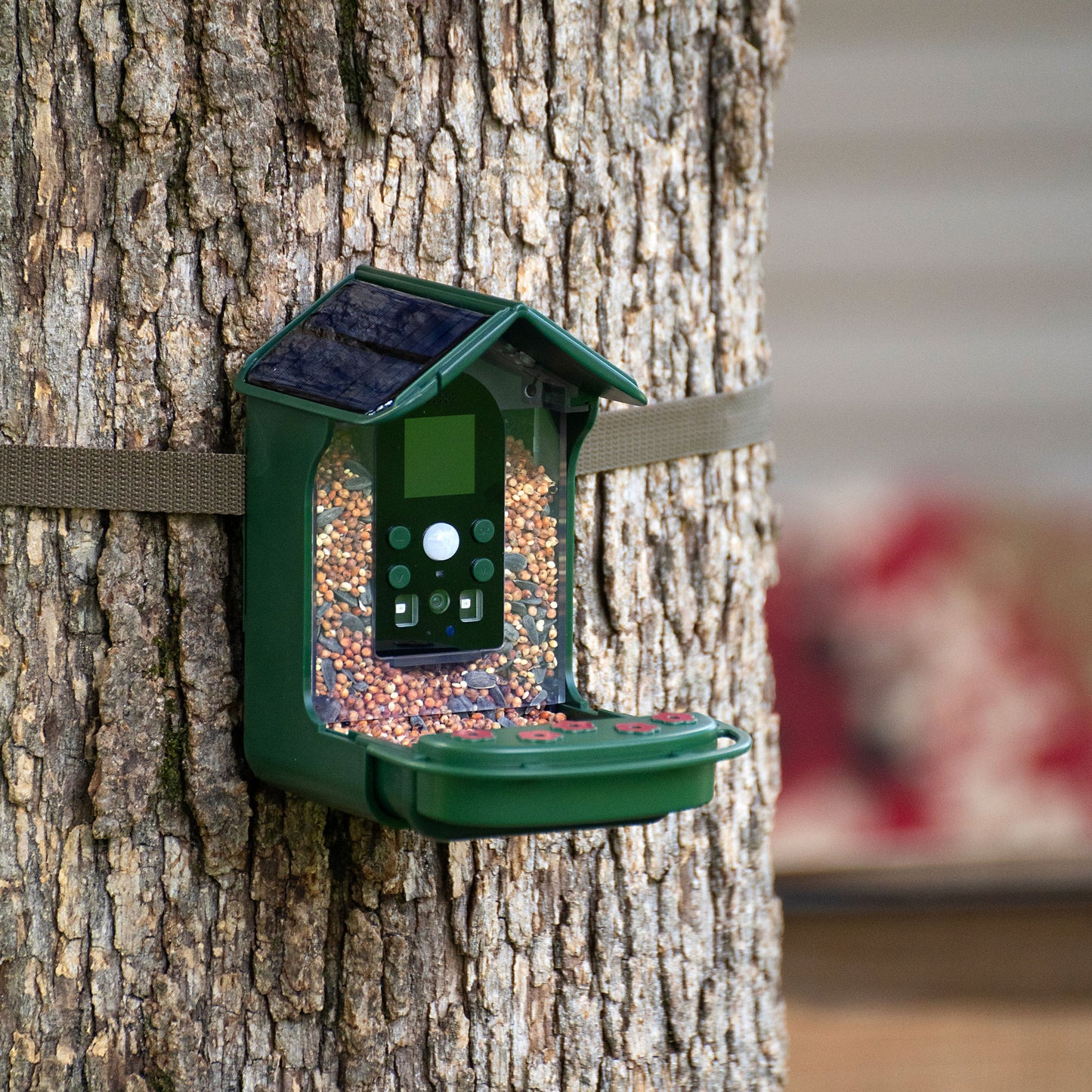 Explore Scientific Smart Bird Feeder